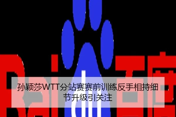 孙颖莎WTT分站赛赛前训练反手相持细节升级引关注